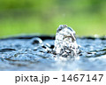 1467147