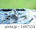 水 水面 湧き水