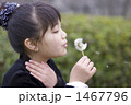 タンポポを飛ばす少女