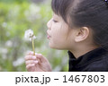 1467803