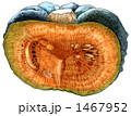 1467952