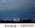 都心を眺める