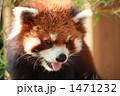 1471232