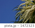 1472323