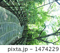 道
