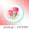 朝摘みの薔薇