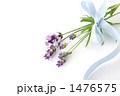 ラベンダーの花束水色リボン
