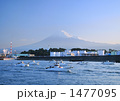 シラス漁出漁と富士山-8174