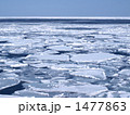流氷