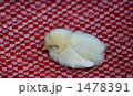 1478391