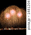 1481204