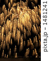 1481241