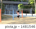1481546