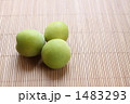 梅の実（緑色）