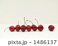 1486137