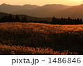 曽爾高原の夕景
