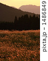 1486849