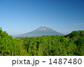 羊蹄山