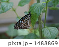 1488869