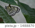 1488870
