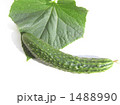 1488990