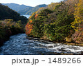 渓流の風景