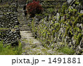 1491881