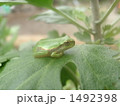 息を潜めて
