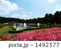 神代植物公園　庭園