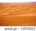 サハラ砂漠