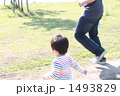 待て待てー！