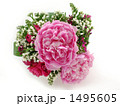 牡丹と薔薇～白背景