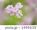 1495639