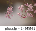 1495641