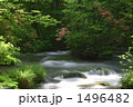 奥入瀬渓流 三乱の流れ