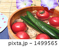 夏イメージ・夏野菜アップ