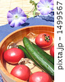 夏イメージ・夏野菜アップ縦