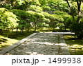 林の中の散歩道