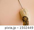 猫の手　２