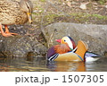 ひるまないで!