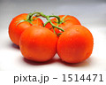 枝付きトマト