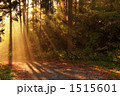 白馬みねかた林道の朝