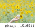 タカレナ0364