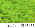 1517155