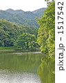 鈴鹿山系と緑の水面
