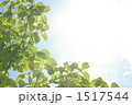 太陽№1