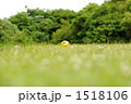 にこちゃんのボール