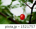 ぐみ