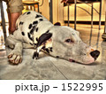 1522995