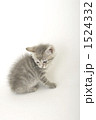 1524332